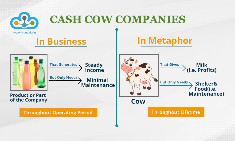 Cash Cow Companies