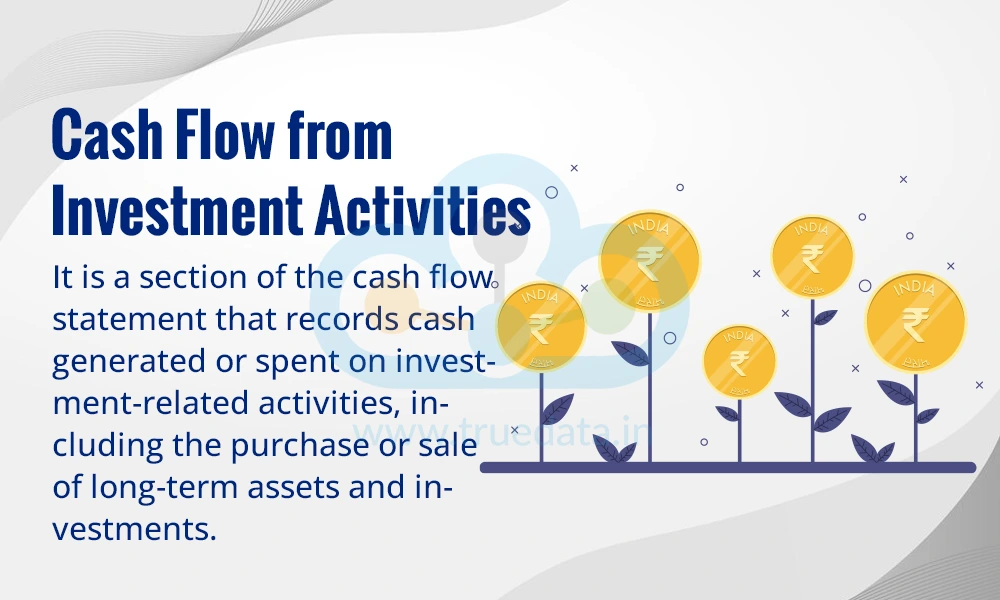 Cash Flow from Investment Activities Cash Flow from Investment Activities