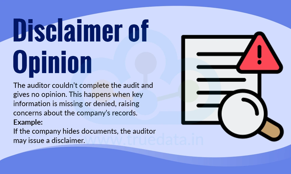 Disclaimer of Opinion Disclaimer of Opinion