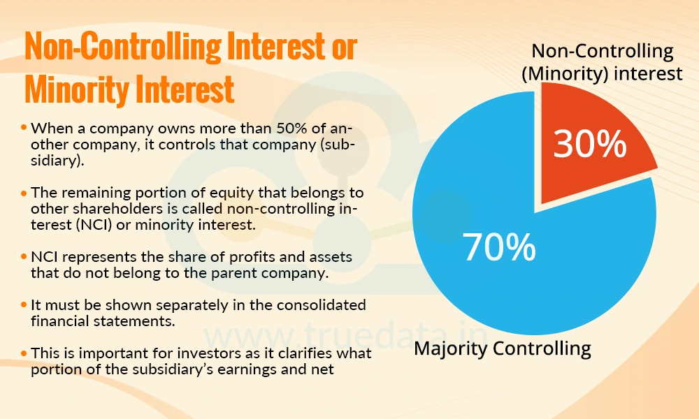 Non-Controlling Interest or Minority Interest&nbsp;