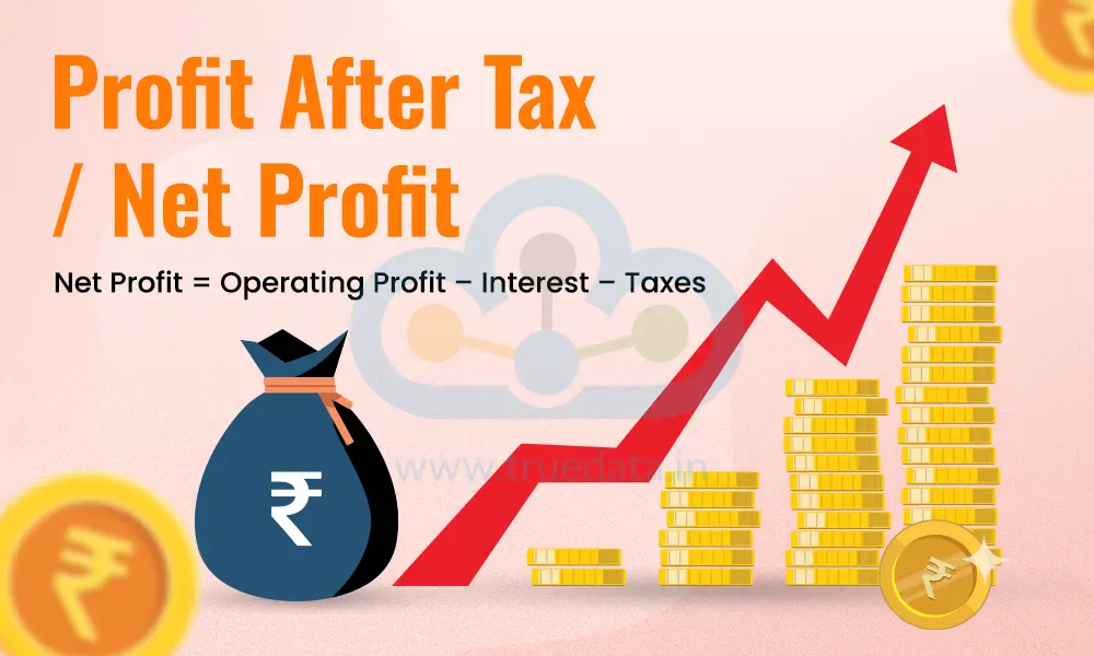 Profit After Tax / Net Profit Profit After Tax / Net Profit