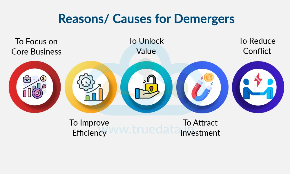 Reasons/ Causes for Demergers