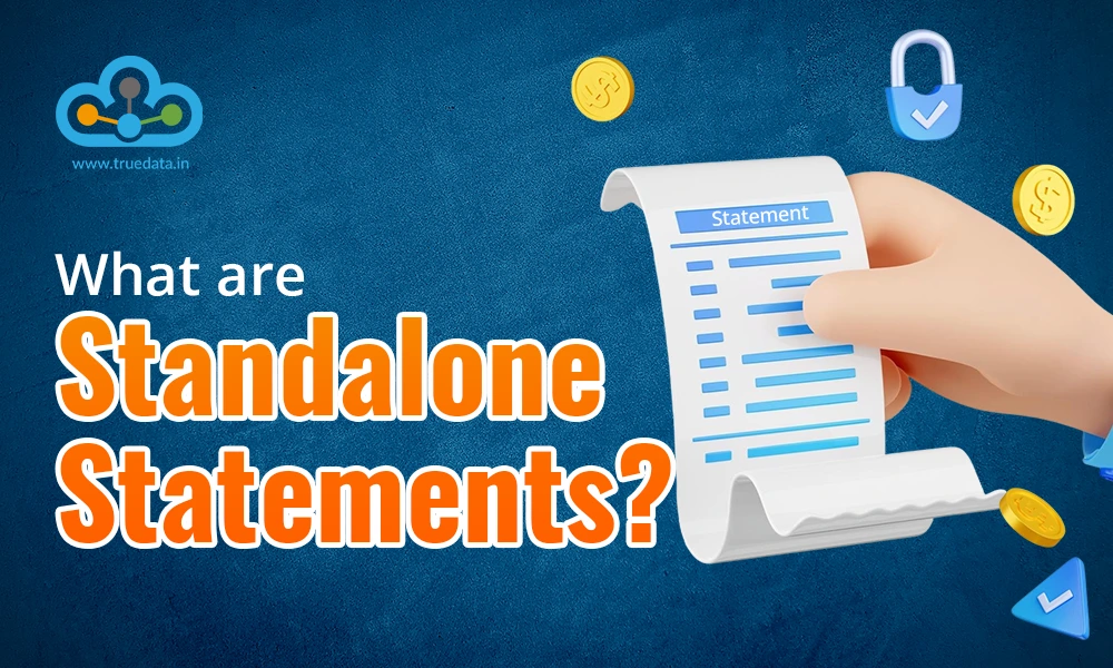 What are Standalone Statements What are Standalone Statements