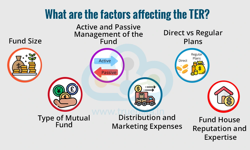 What are the factors affecting the TER What are the factors affecting the TER