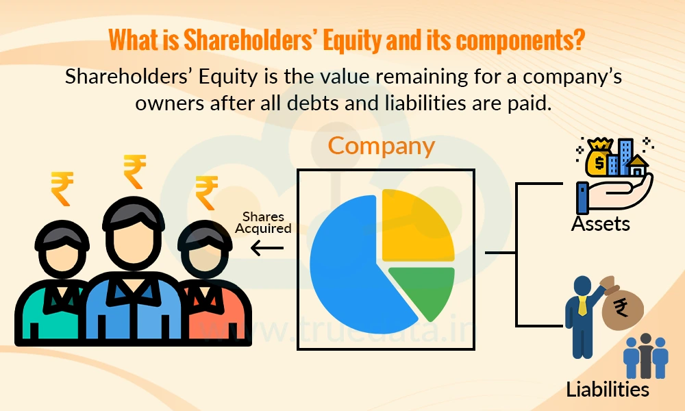 What is Shareholders&rsquo; Equity and its components