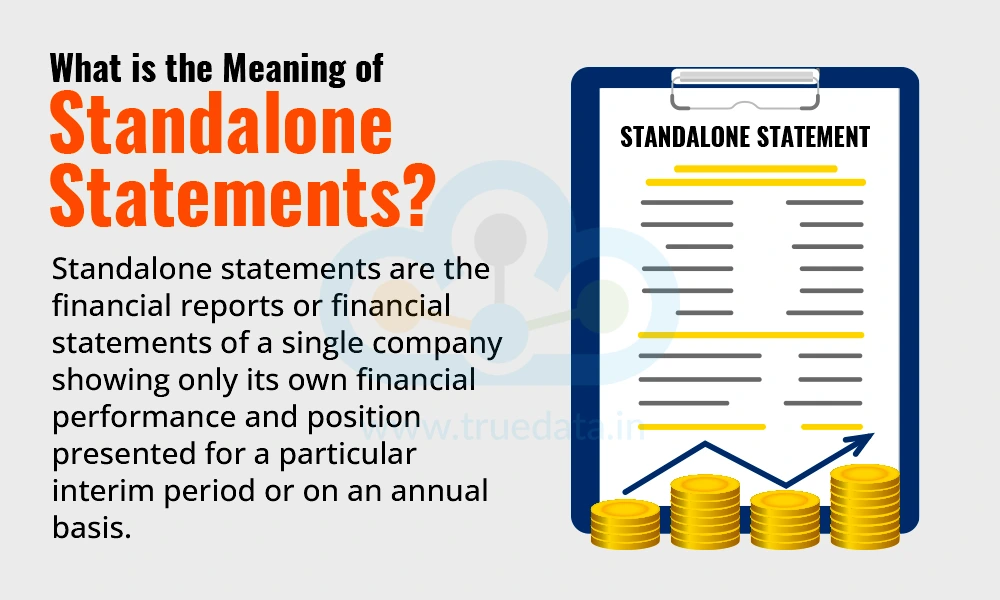 What is the Meaning of Standalone Statements What is the Meaning of Standalone Statements