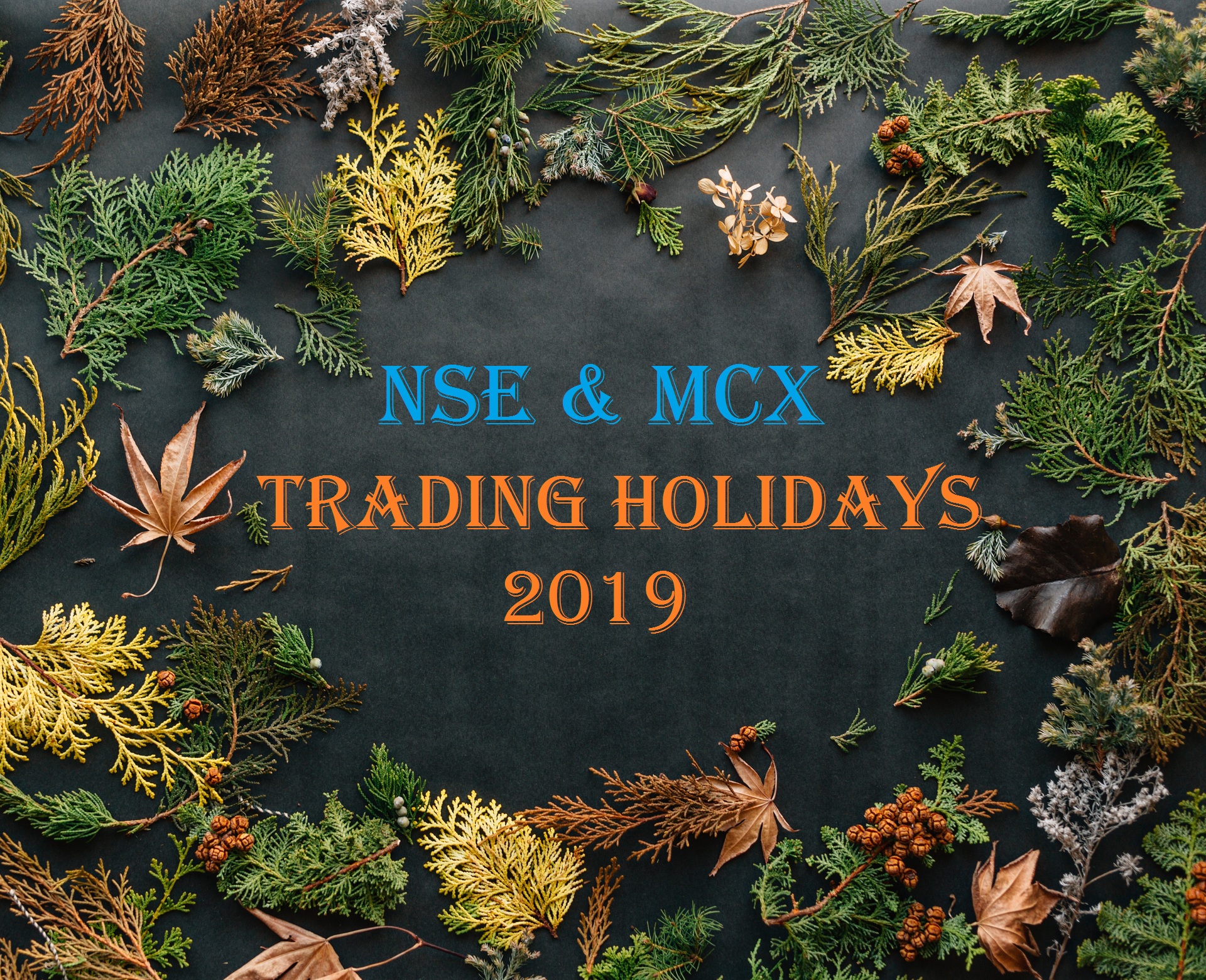 Trading-Holidays-for-the-year-2019-NSE-and-MCX