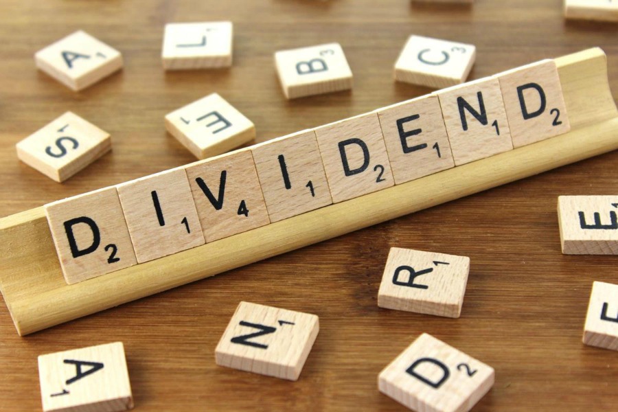 dividend