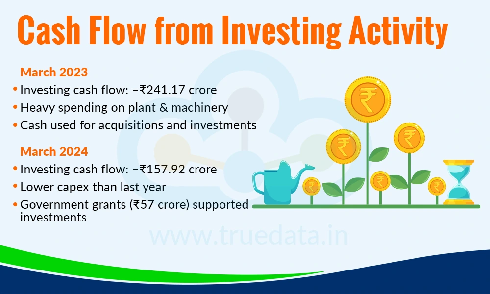 Cash Flow from Investing Activity