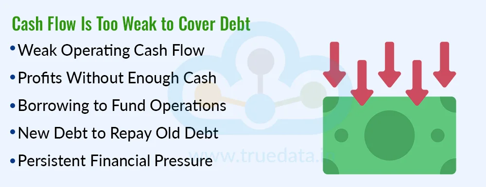 Cash Flow Is Not Sufficient to Support Debt Payments Cash Flow Is Not Sufficient to Support Debt Payments