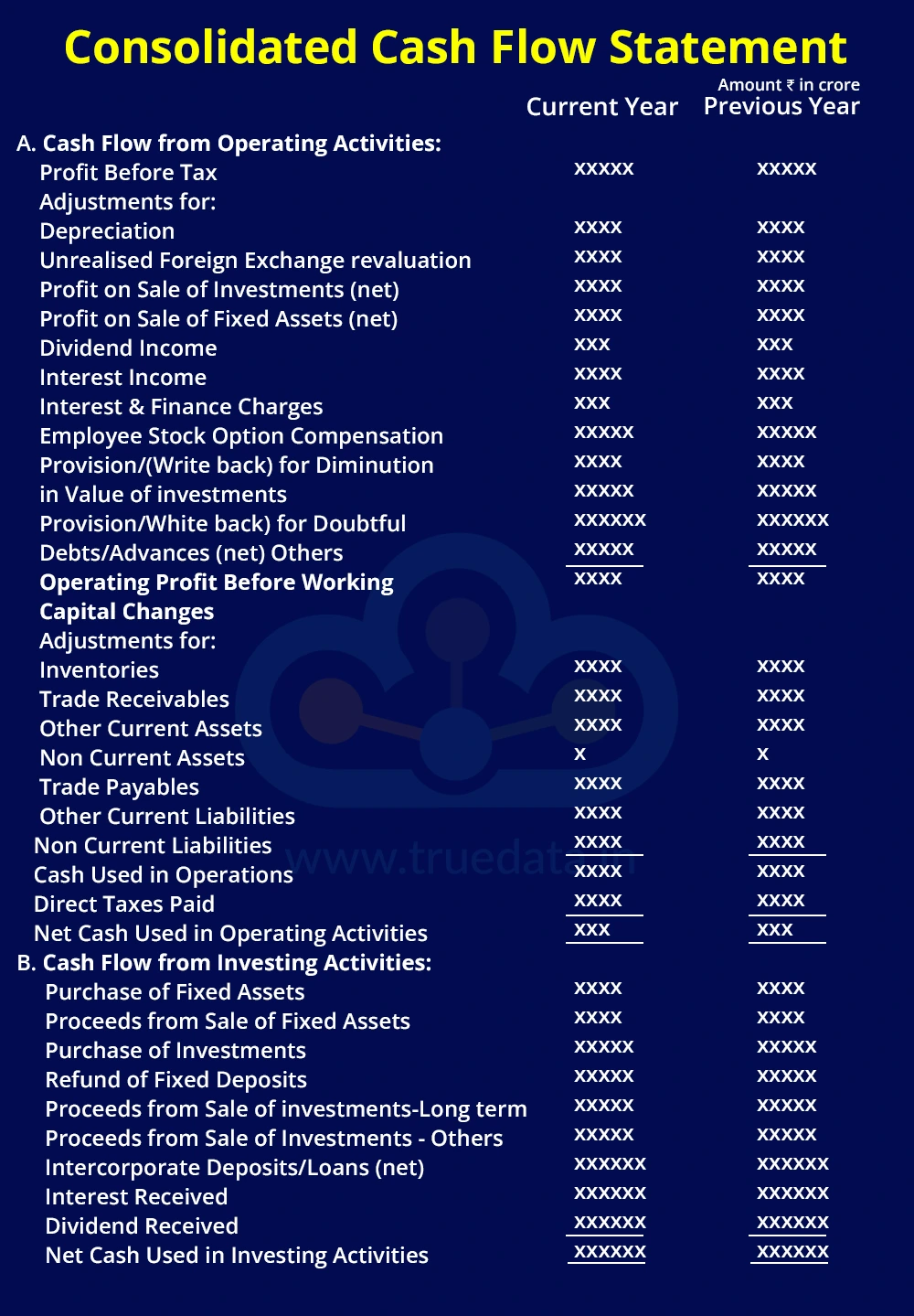 Consolidated Cash Flow Statement