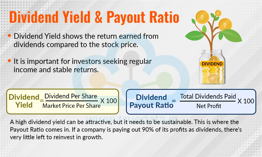 Dividend Yield & Payout Ratio