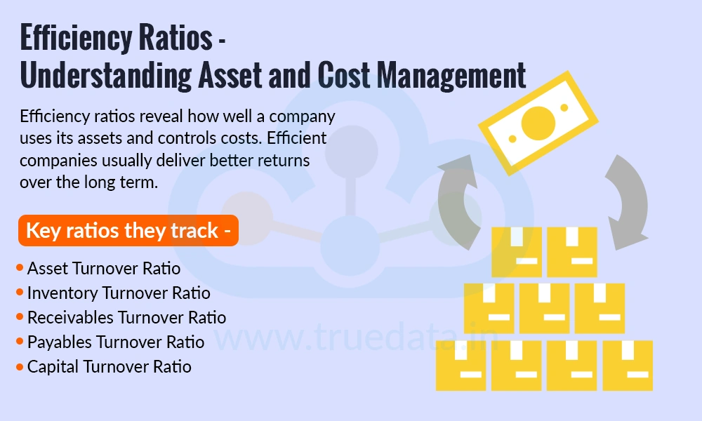 Efficiency Ratios - Understanding Asset and Cost Management Efficiency Ratios - Understanding Asset and Cost Management