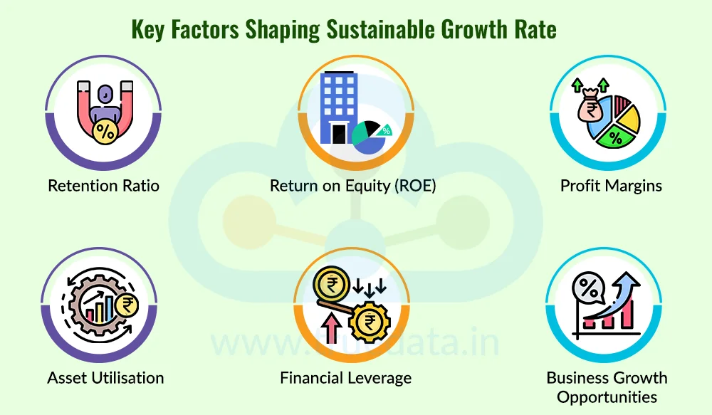 Factors Influencing the Sustainable Growth Rate Factors Influencing the Sustainable Growth Rate