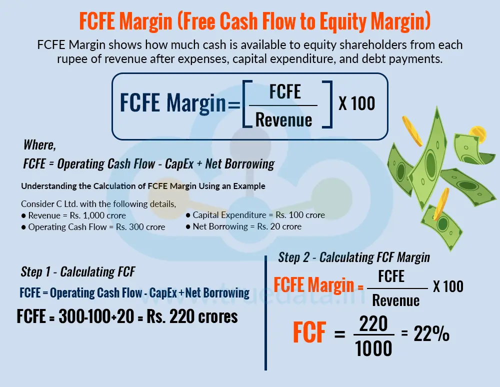FCFE Margin (Free Cash Flow to Equity Margin)
