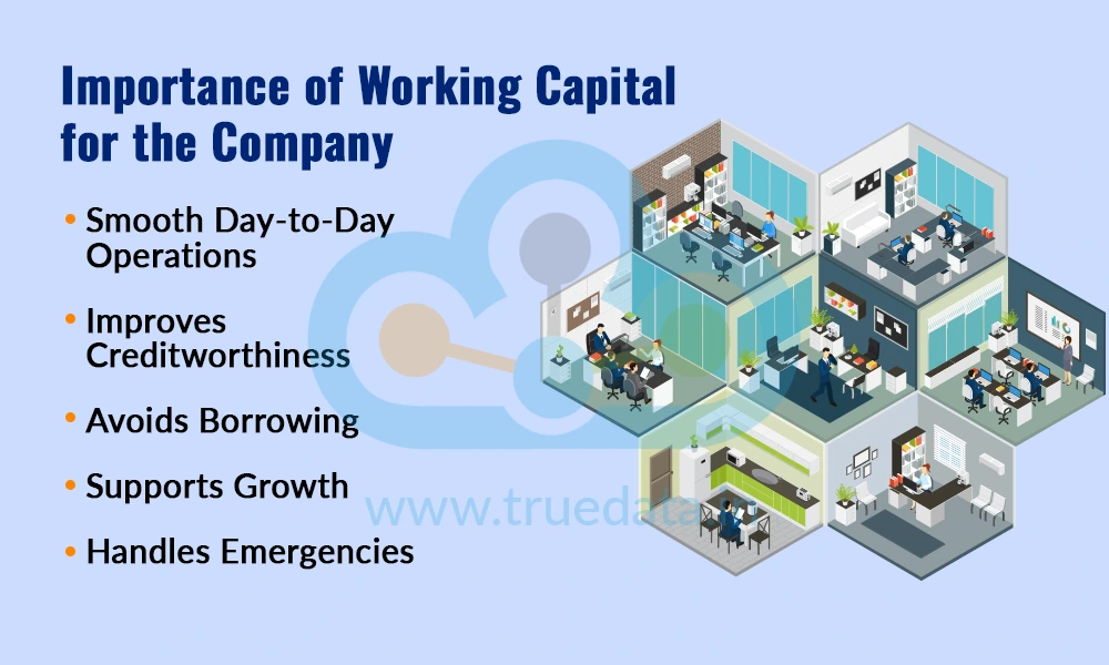 Importance of Working Capital for the Company