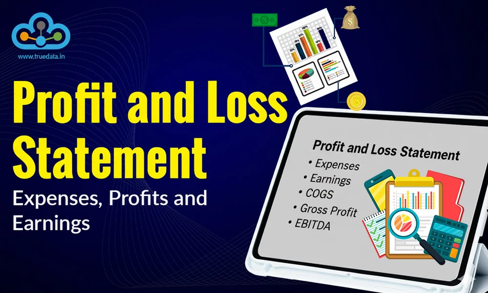 profit-and-loss-statement-expenses-profits-and-earnings