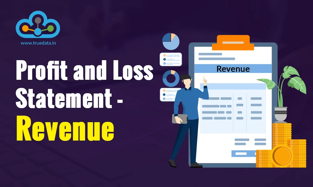 profit-loss-statement-revenue