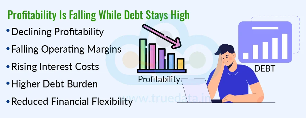 Profitability Is Falling While Debt Remains High Profitability Is Falling While Debt Remains High