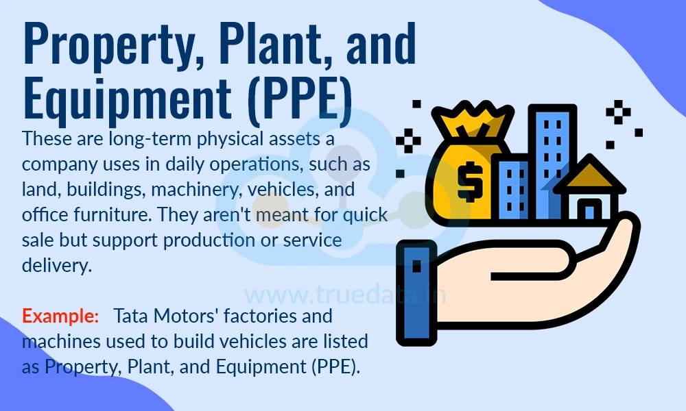 Property, Plant, and Equipment (PPE)