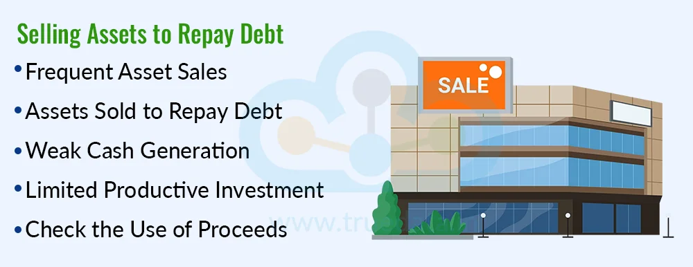 The Company Is Selling Assets to Manage Debt The Company Is Selling Assets to Manage Debt