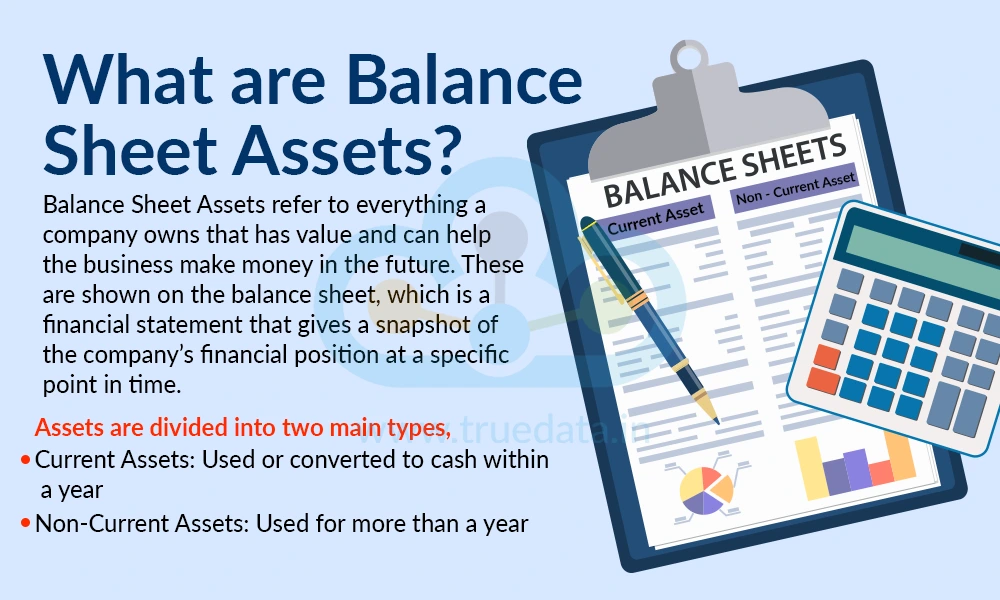 What are Balance Sheet Assets