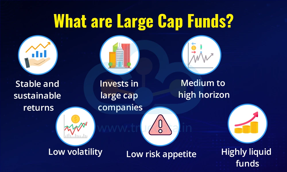 what-are-large-cap-mutual-funds