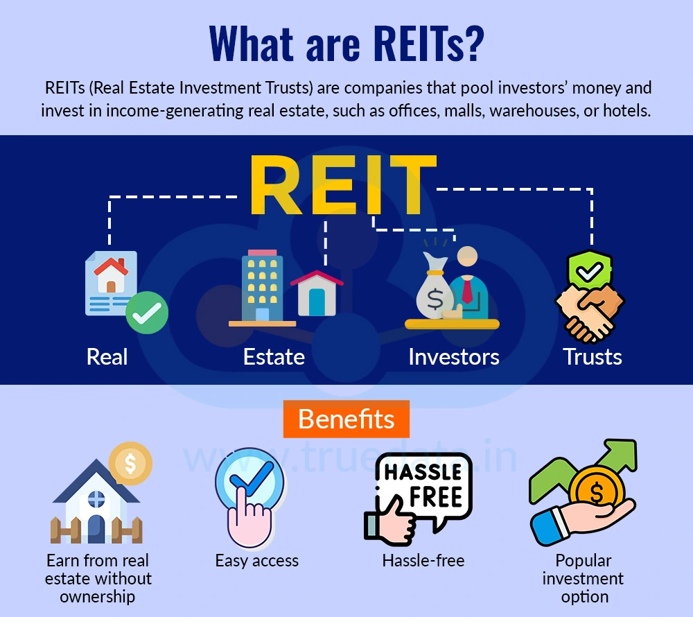 What are REITs