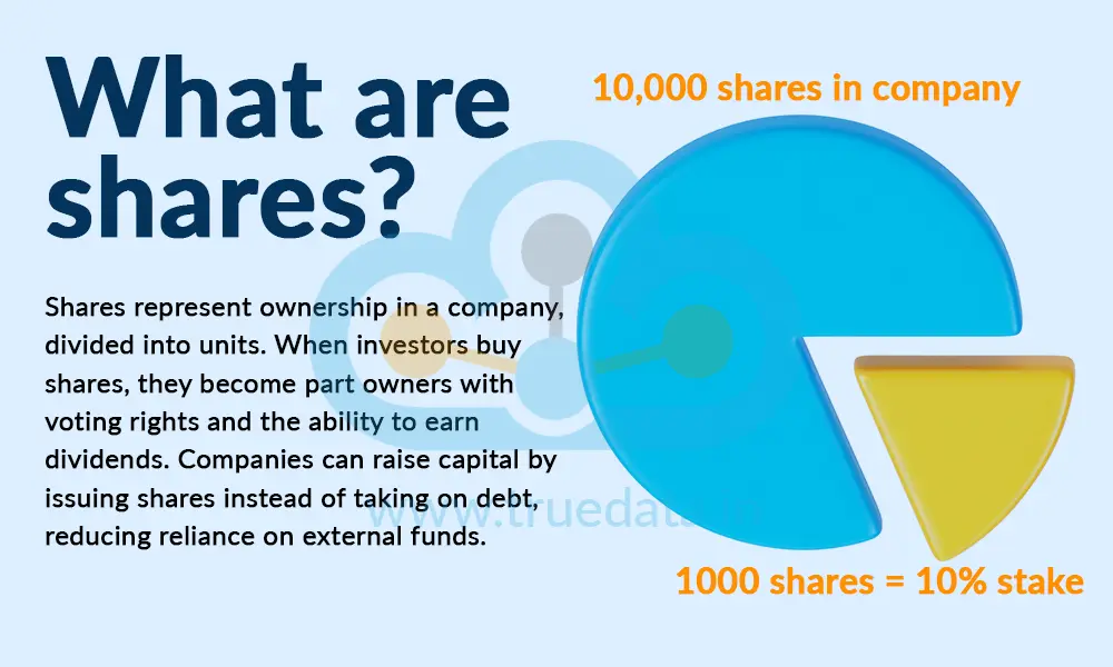 What are shares