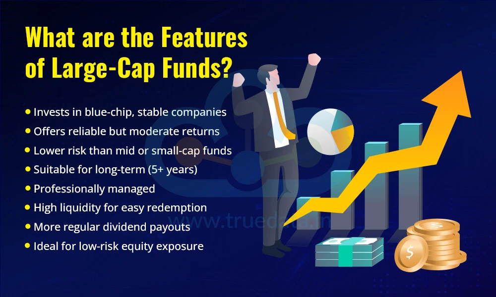 What are the Features of Large-Cap Funds