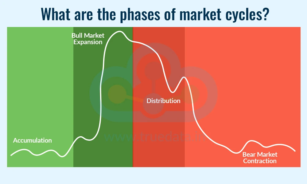 What are the phases of market cycles