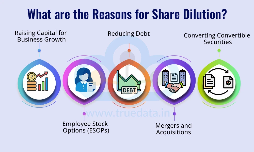 What are the Reasons for Share Dilution