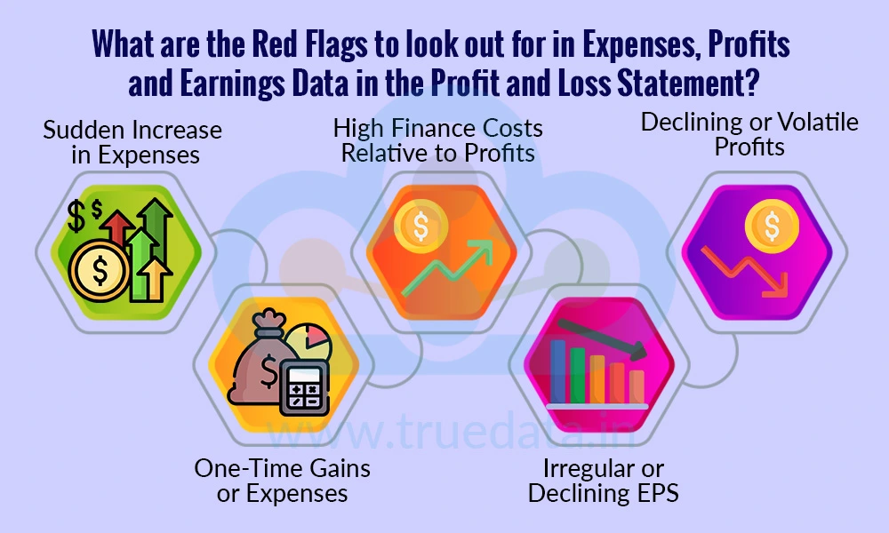 What are the Red Flags to look out for in Expenses, Profits and Earnings Data in the Profit and Loss Statement