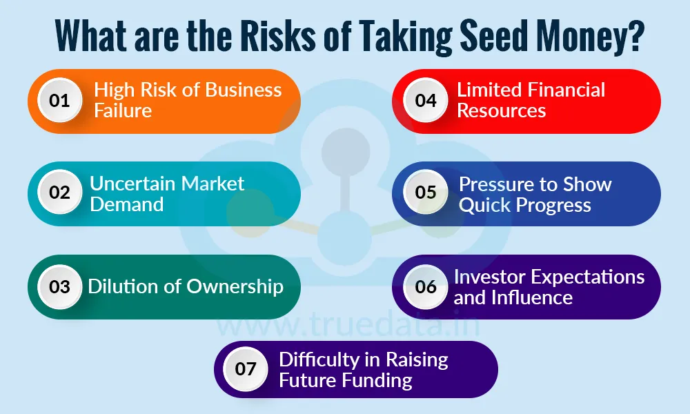 What are the Risks of Taking Seed Money What are the Risks of Taking Seed Money