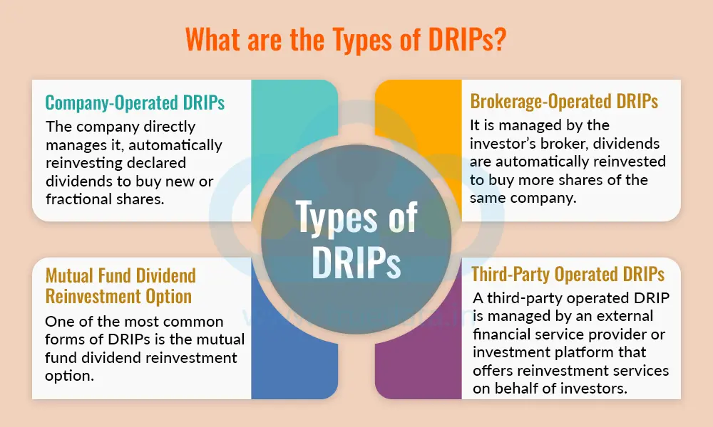 What are the Types of DRIPs What are the Types of DRIPs