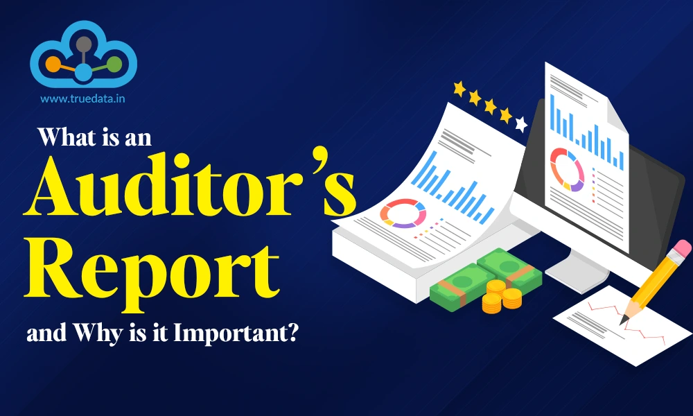 what-is-an-auditor-report-and-why-is-it-important