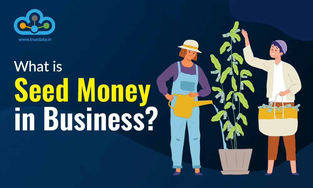 What is Seed Money in Business What is Seed Money in Business