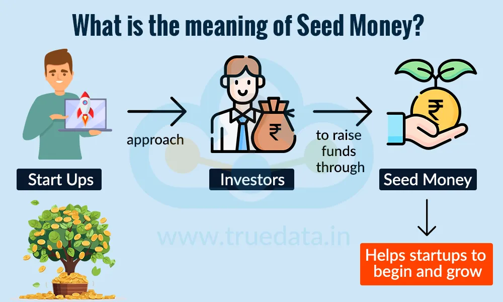 What is the meaning of Seed Money What is the meaning of Seed Money