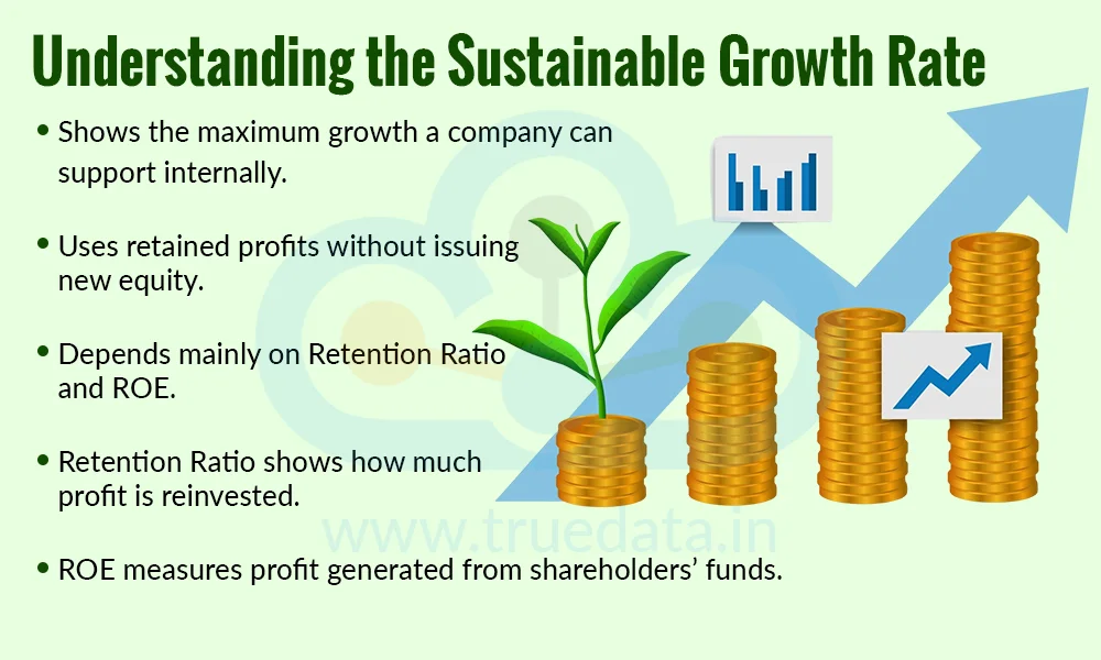 What is the Sustainable Growth Rate What is the Sustainable Growth Rate