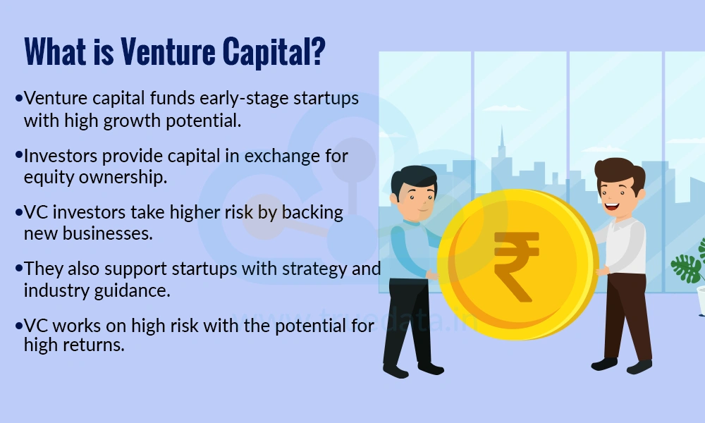 What is Venture Capital What is Venture Capital